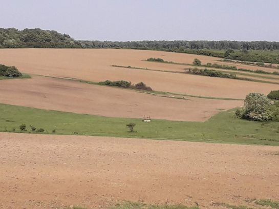 farmland for sale in Romania